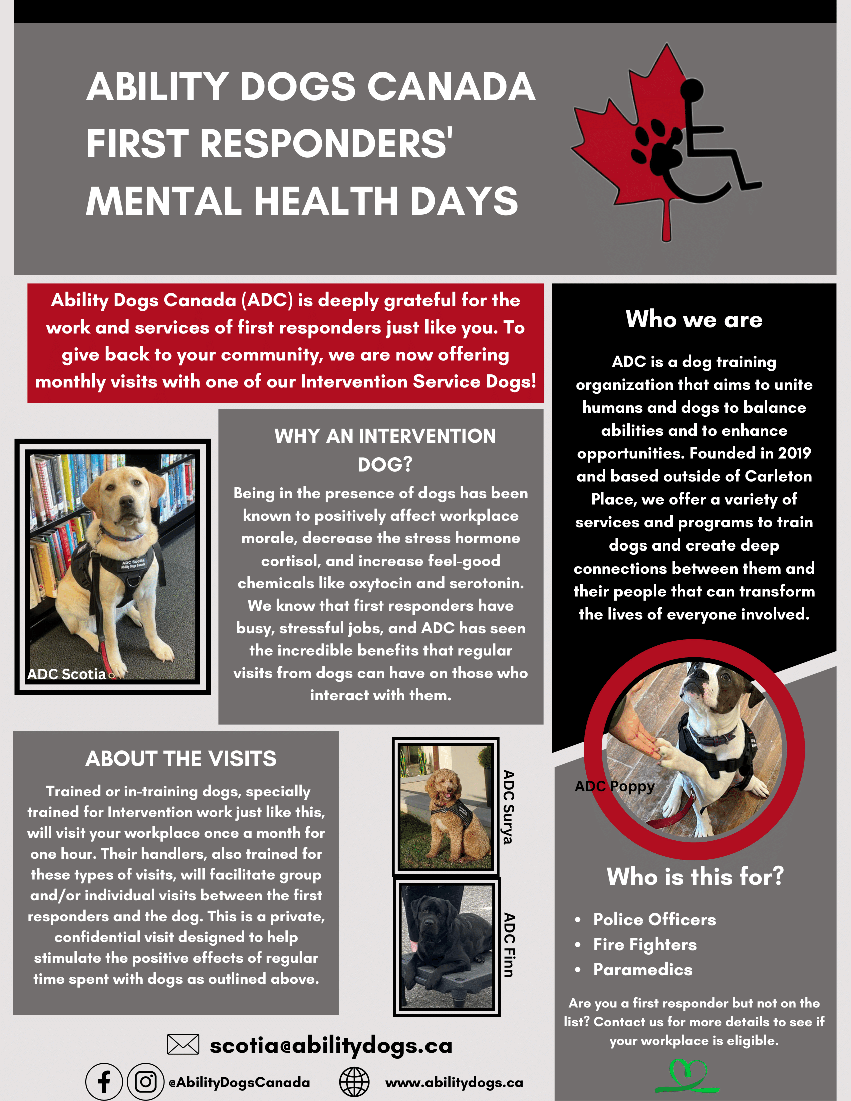 Intervention Dog Training InfoGraphic